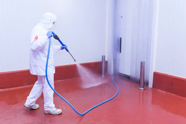 Best Spring Cleaning  in Salisbury, NY